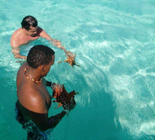 Cuba-Libre Stop und Seesterne suchen