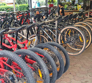 MTB Verleih