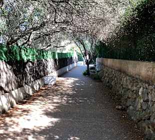 Stadtrundgang Calo d'es Pou