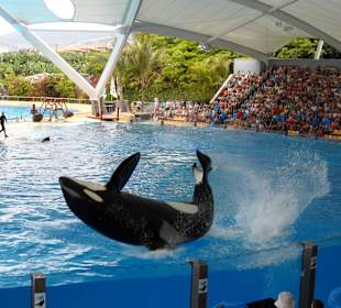 Loro Parque