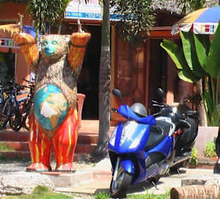 Fahrrad und Moped Verleih