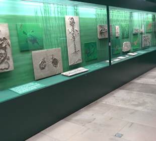 Staatliches Naturkunde Museum