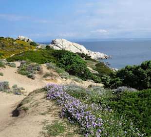 Wanderung am Capo Testa