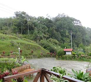 Ausflug Wildfife Expeditions- Rastplatz