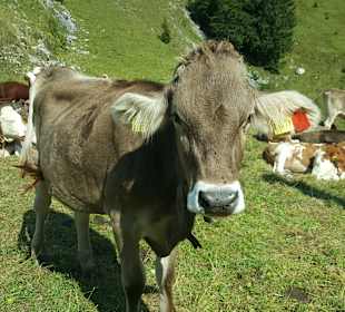Wandern Stötten am Auerberg