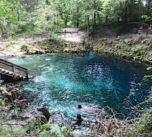 Madison Blue Spring State Park
