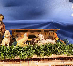 Verschiedene Grippen 