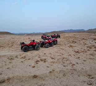 Quad Tour Safaga
