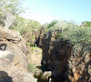 Blick in die Felsenschlucht