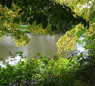 Spaziergang durch den Mühlenkamp-Park