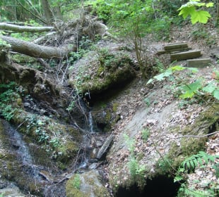 Traumschleife Ehrbachklamm Mai 2022 – durch den Kl