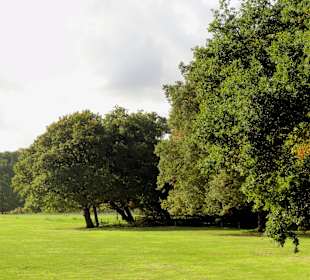 Herbstspaziergang durch den Bürgerpark Bremen