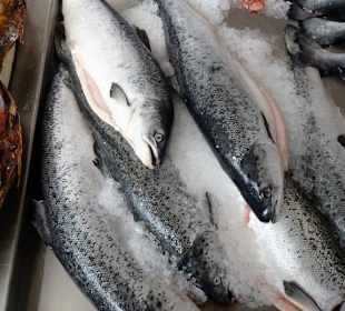 In der Fischabteilung der Markthalle