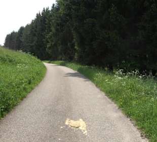 Großes Rinnental