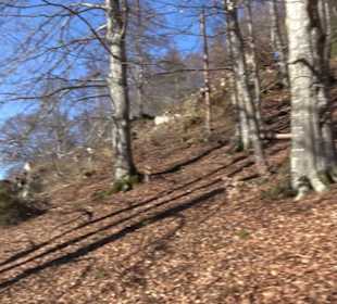 Naturerlebnispfad Meidelstetten