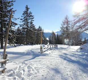 Villander Alm