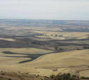 The Palouse