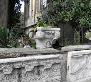 Археологический музей, Стамбул