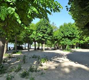 Strandspaziergang am Rissener Ufer