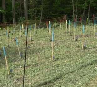 Naturpark Schönbuch