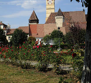 Altstadt Mediaş