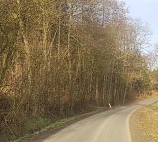 Wandern Bad Waltersdorf