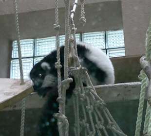 Zoo Olomouc