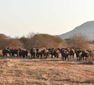 Gemeinsam sind wir stark