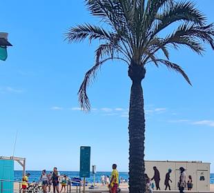 Strand Lloret de Mar