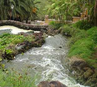 sehenswerter Naturpark in Puerto de la Cruz