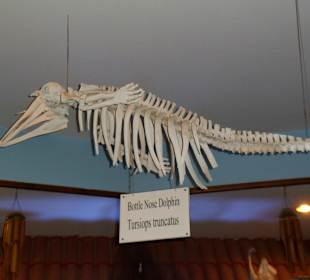 Sindbad Submarine - Wartebereich