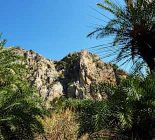 Palmenstrand von Preveli