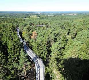 Blick vom Aussichtsturm auf den Baumwipfelpfad