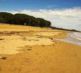 Am Strand entlang super