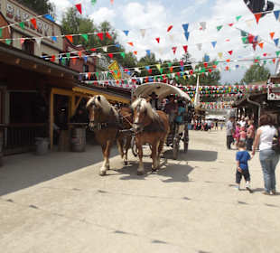 Fluch der Piraten 2013