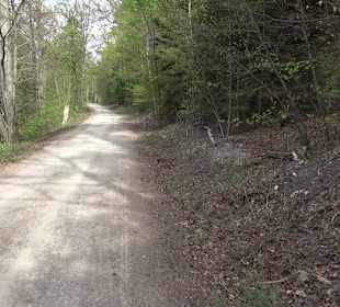 Walderlebnisweg Rottenburg