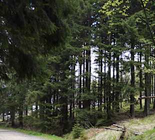 Berg Schneekoppe/Śnieżka