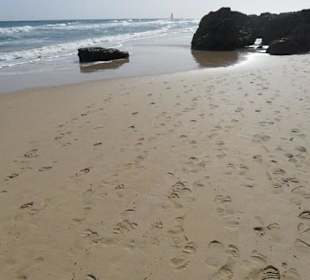 Spuren im Sand Richtung Morro de Jable