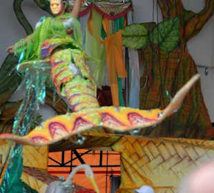 Boi Bumba Festival Sonderveranstaltung