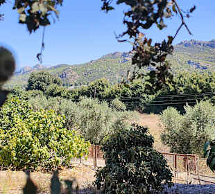 Aspendos, die antike Stadt