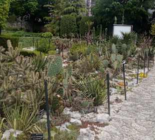 Botanischer Garten Baltschik