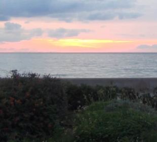 Carretera Del Arenal Balneario