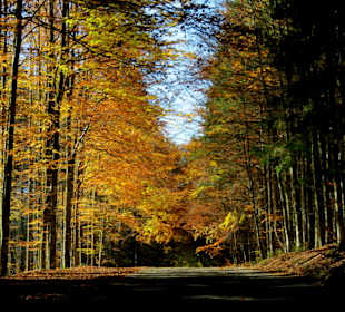 Herbststimmung im Nationalpark