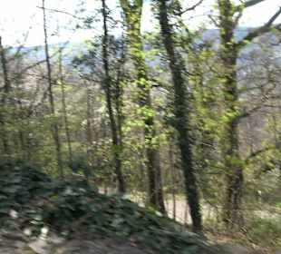 Altes Schloss Hohenbaden