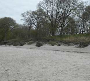 Am Naturstrand von Rosenhagen