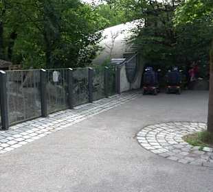 Tierpark Hellabrunn