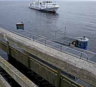 Ankunft MS „Adler Vineta"