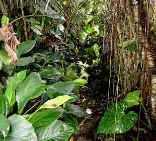 Impressionen aus den Jardins de Valombreuse