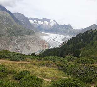 Gletscherweg Aletschgletscher