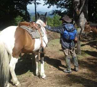 Ausritt am Villarica